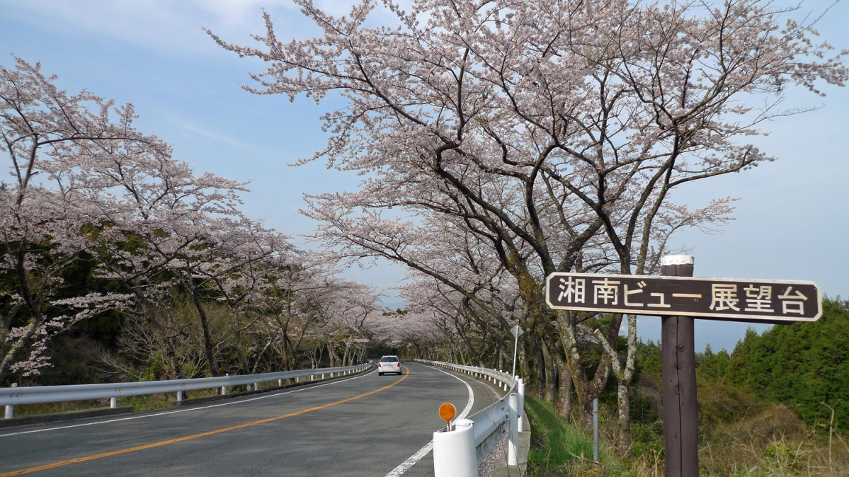 Hakone Turnpike u00a9Peke