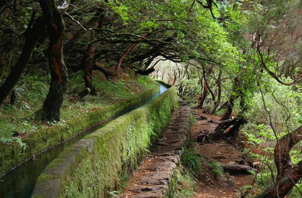 Looking travel portugal senderismo madeira