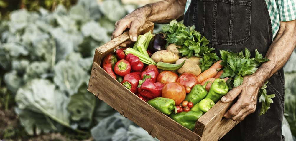 Slow food defiende a los productores