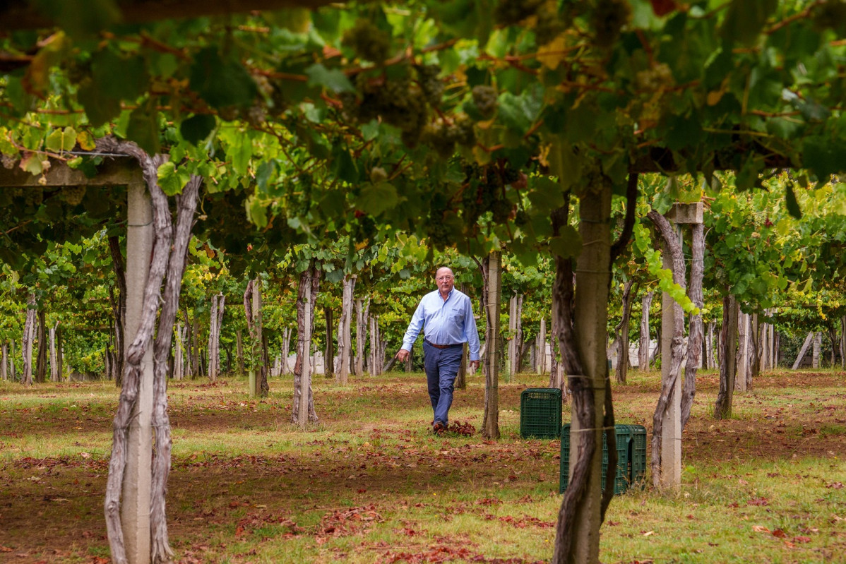 Carlos Moro en Vina Caeira