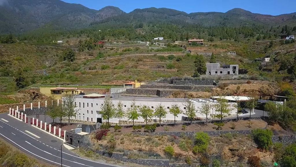 Bodega Comarcal Valle de Gimar(4)