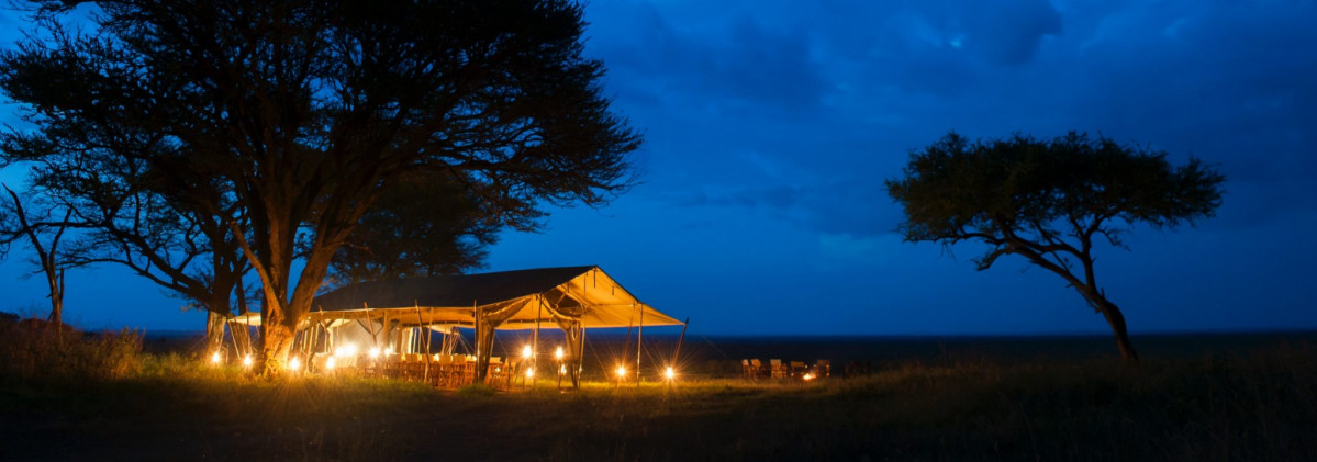 Fin de anu0303o en Masai Mara a la luz de los candiles