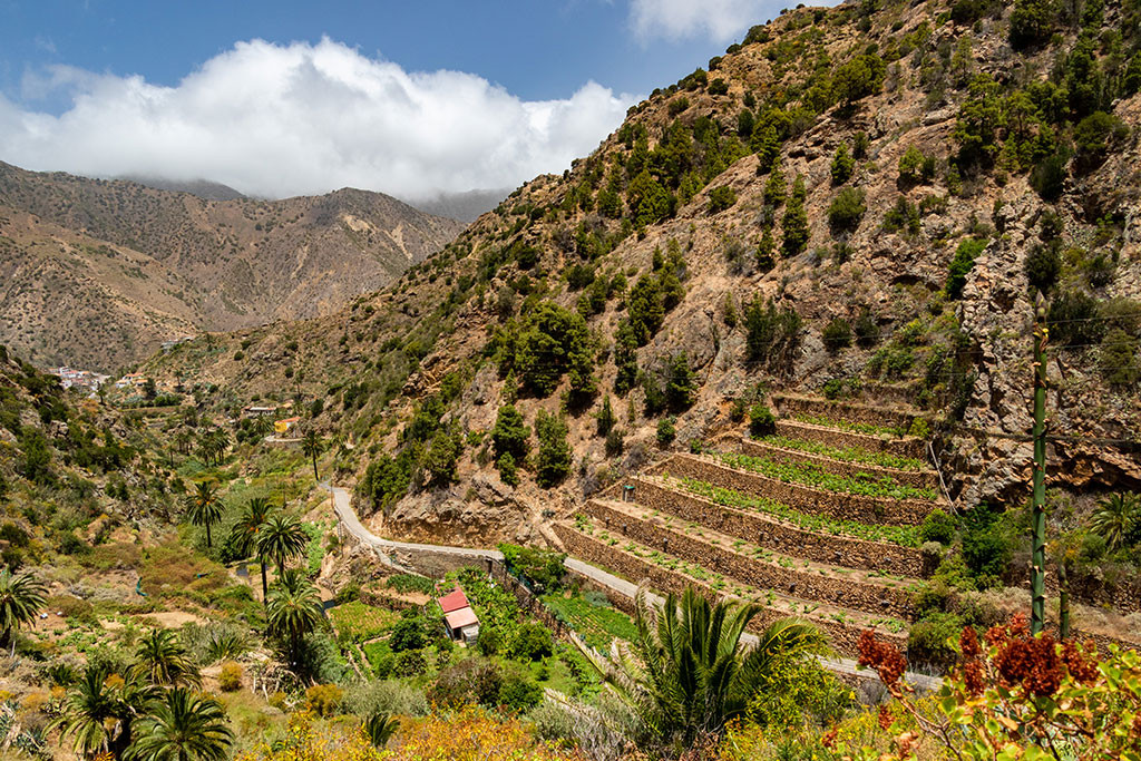 ValleGran Rey