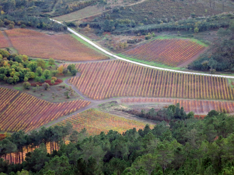 Valdeorras, Ourense, Paisaje de Outono, @Aurentino Alonso