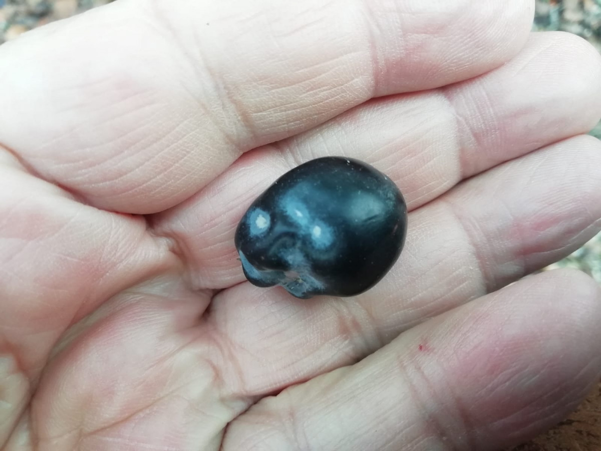 8827a301 be24 4026 b21e dce492231045 (1)