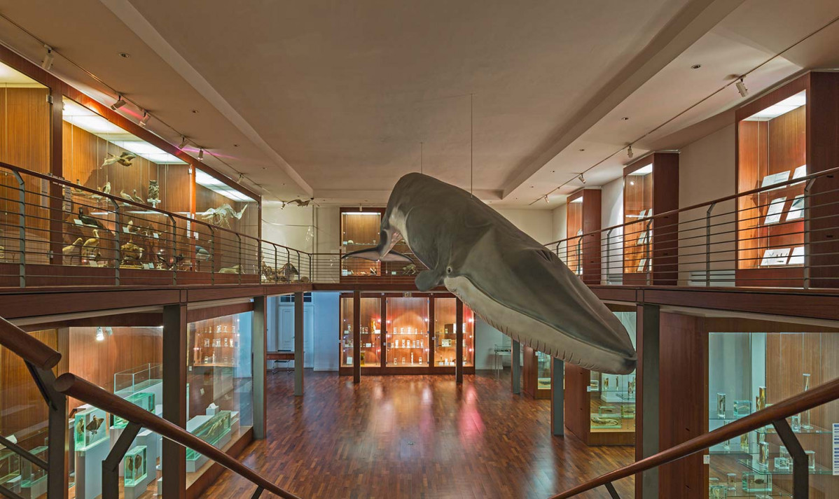 National museum of natural history and science 3