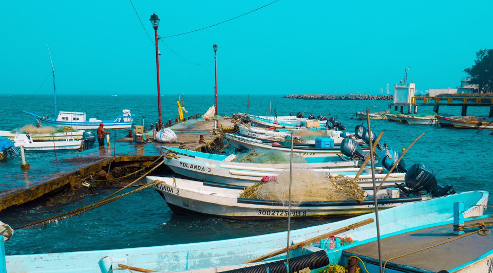 Veracruz, Puerto pesquero