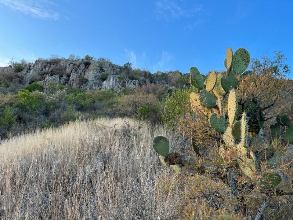 El Cerro del Muerto, Aguascalientes