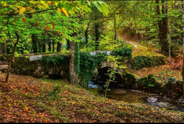 La Senda de los Mil Colores en Otoño e Invierno (9) (2)