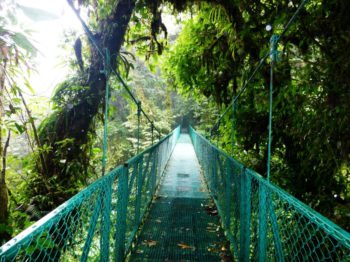 Monteverde puente