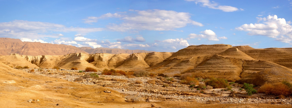 Israel desierto del Negev 1761 2019