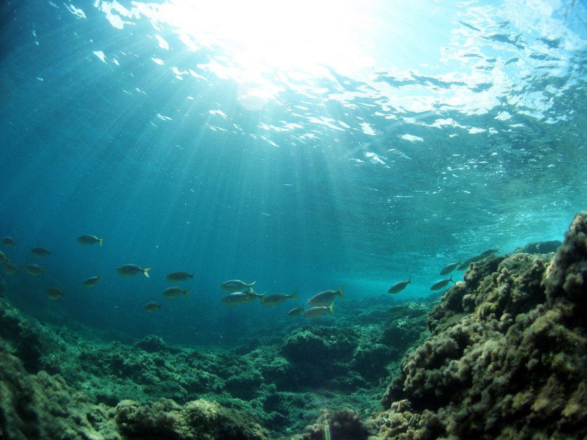 Ibiza, Snorkel en Port d'es Torrent