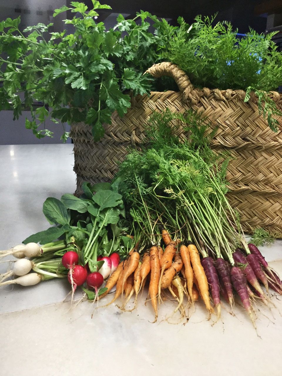 Verduras recién cogidas  del huerto