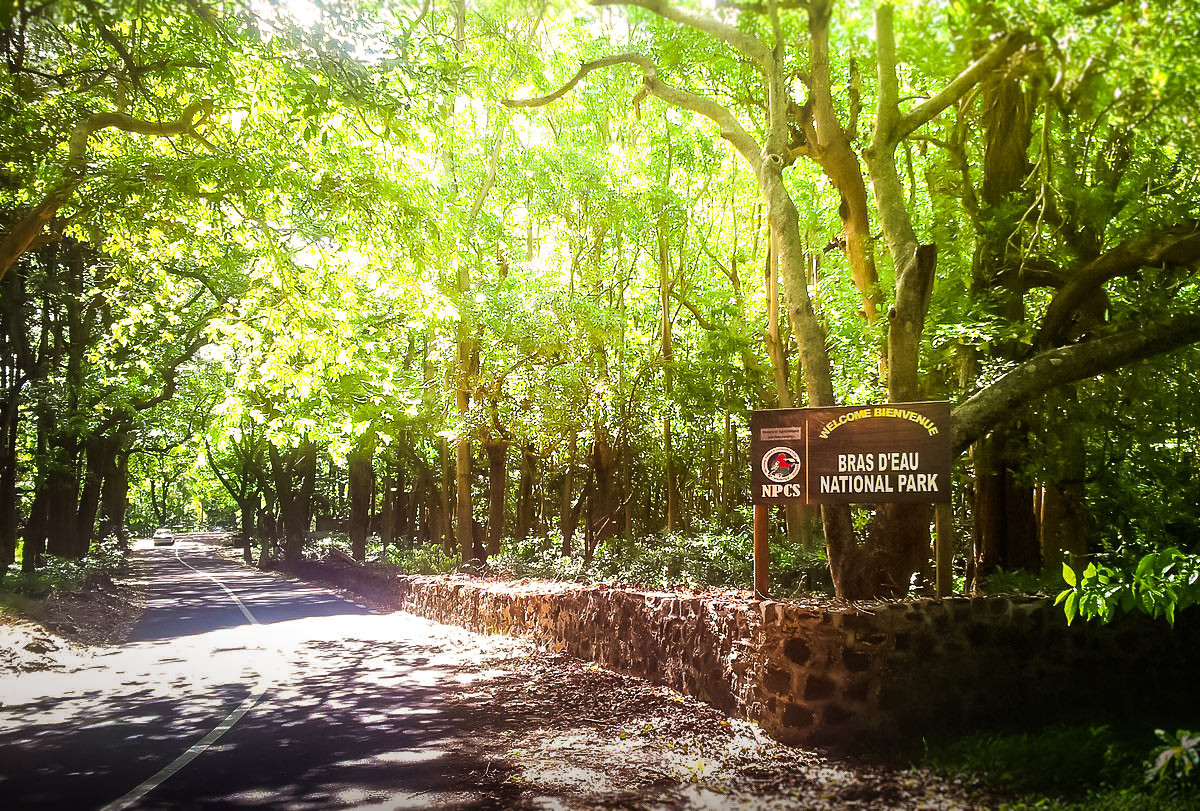Mauricius, Bras deau parc national