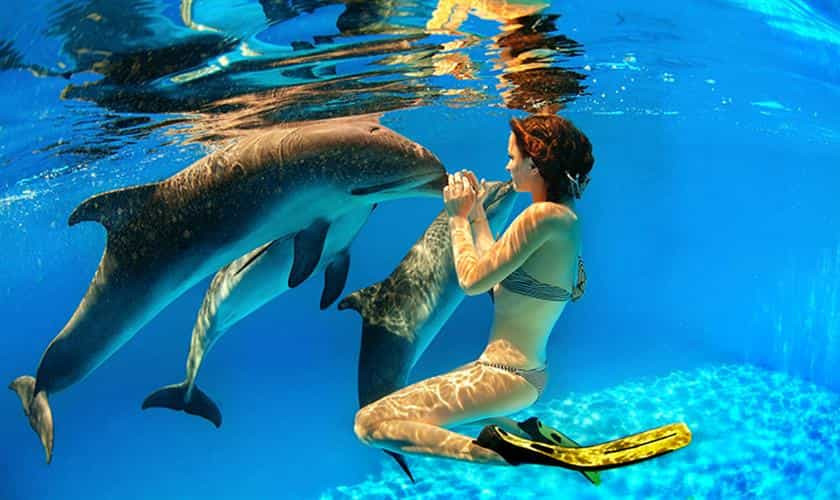 Swimming with dolphins.