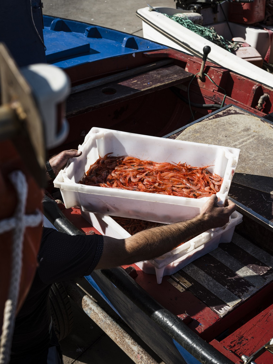 Productos del mar en La Laguna