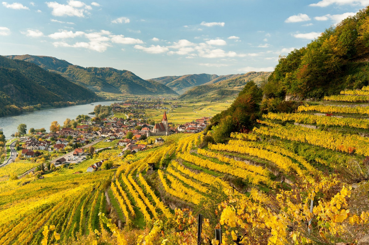 Viena, La Wachau