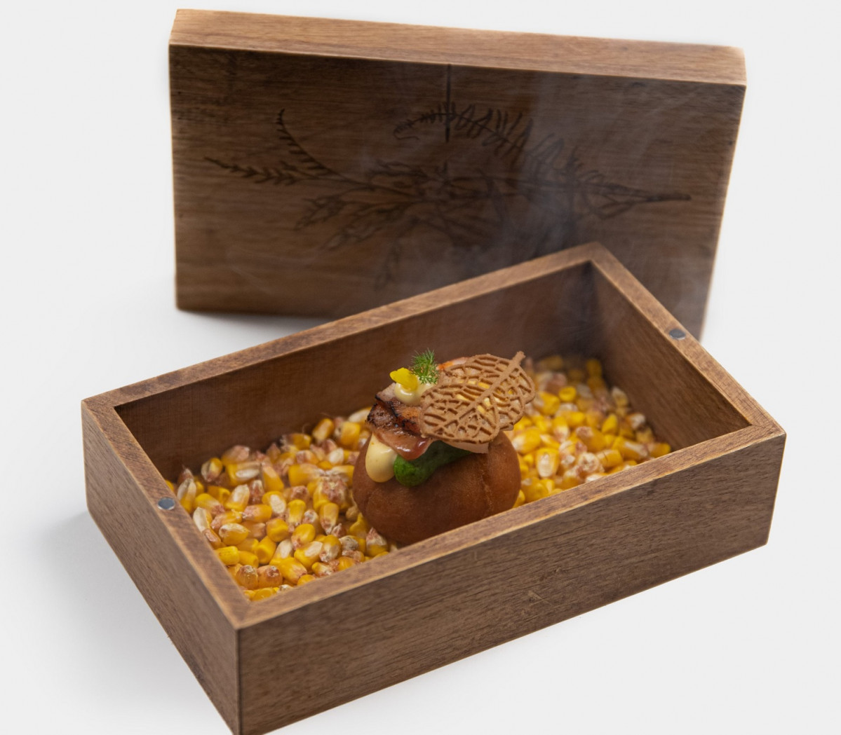 Tapa Bacelo