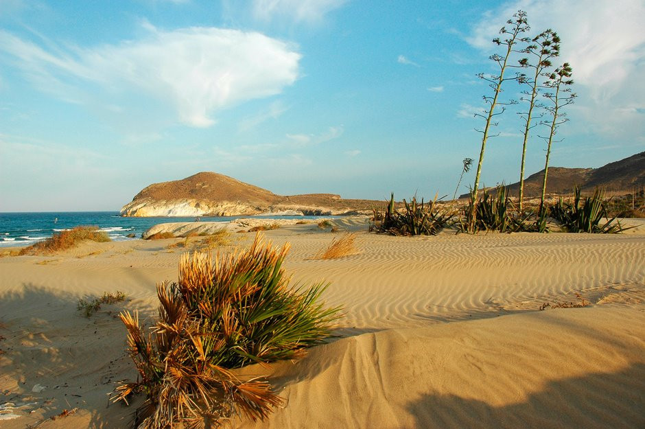 Parque Natural de Cabo de Gata   Nij