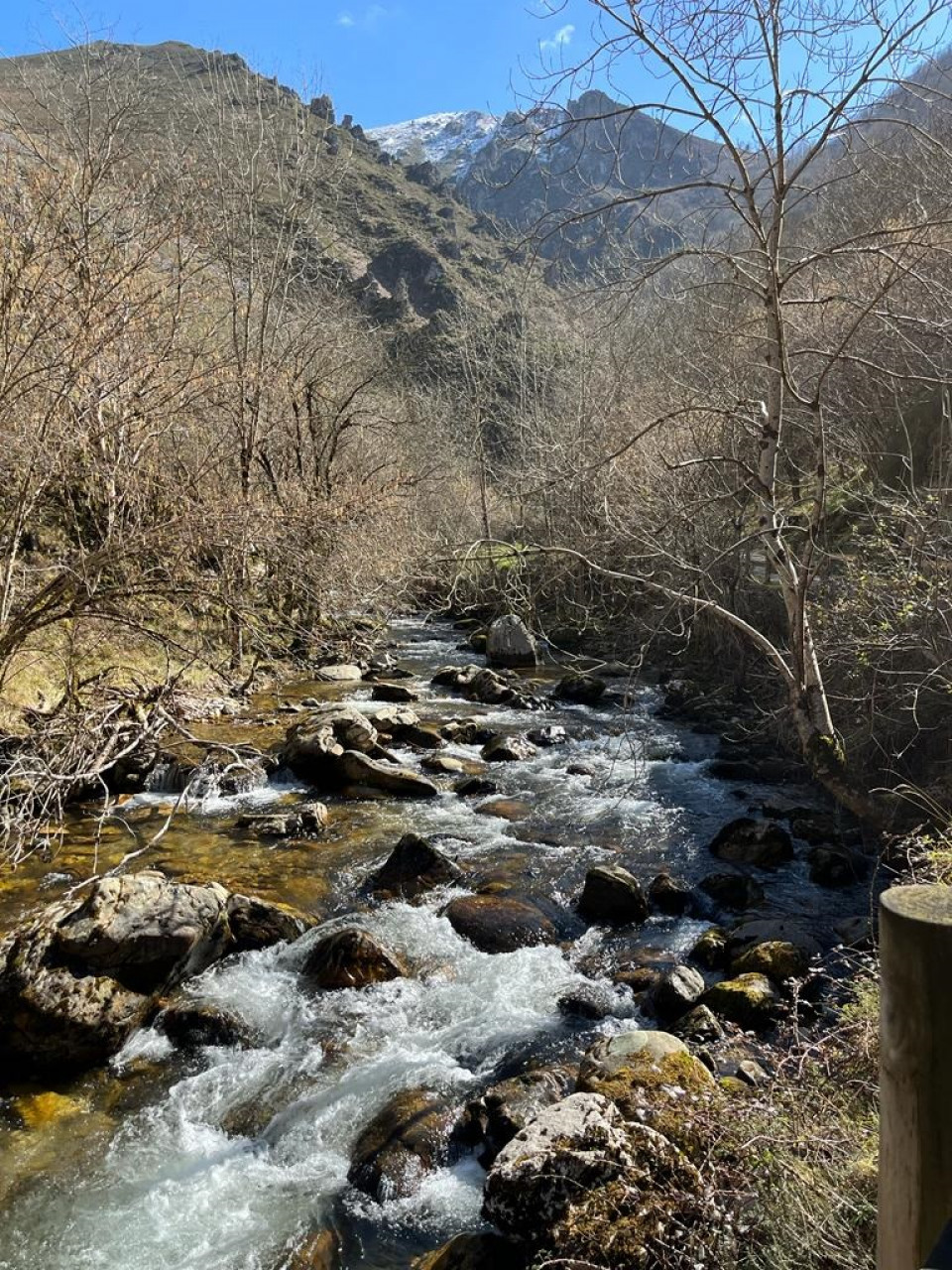 El Rio Alba, trancurre paralelo a la senda