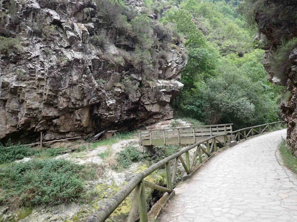 Puente de madera, río Alba