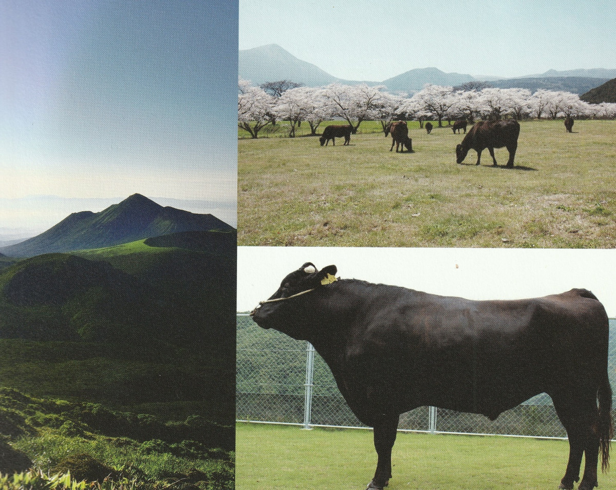 Reses y paisajes Miyazaki