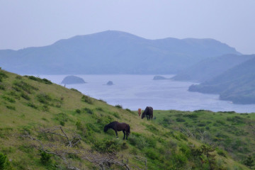 Oki Islands ©Kzaral