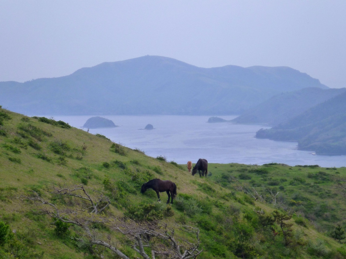 Oki Islands u00a9Kzaral