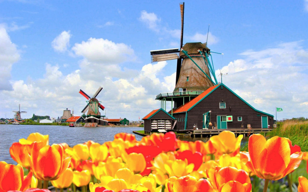 Amsterdam keukenhof holland