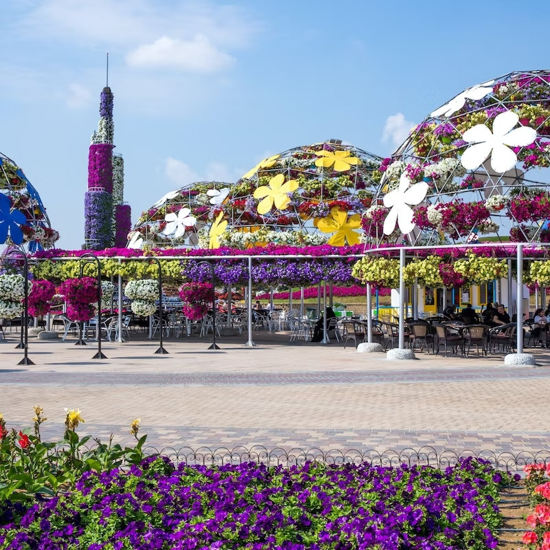 Jardin milagroso dubai