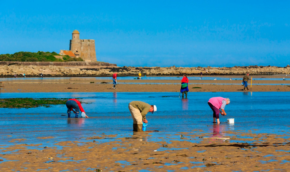 Normandie gastronomie