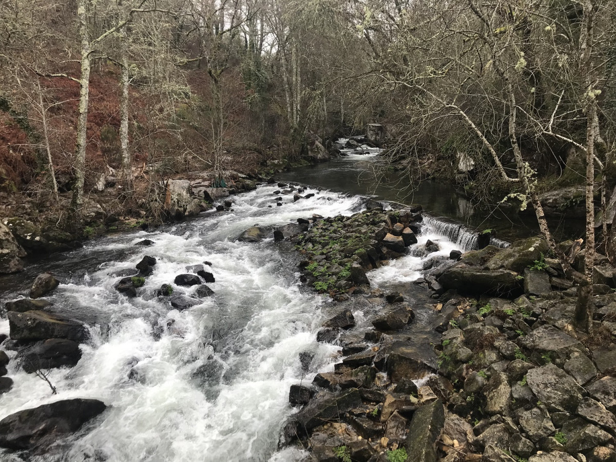 Rio Arenteiro, a su paso por Carballiu00f1o