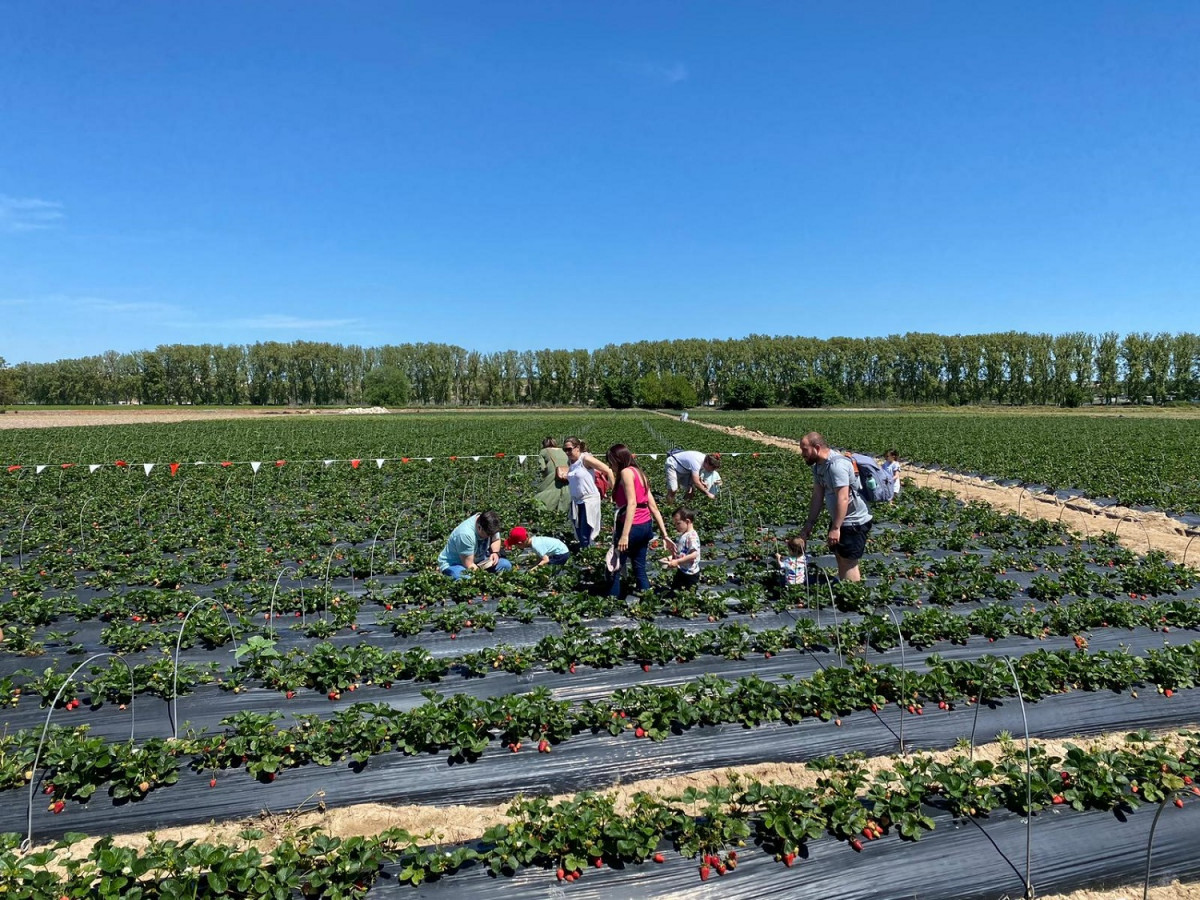 La Huerta de Aranjuez y sus actividades