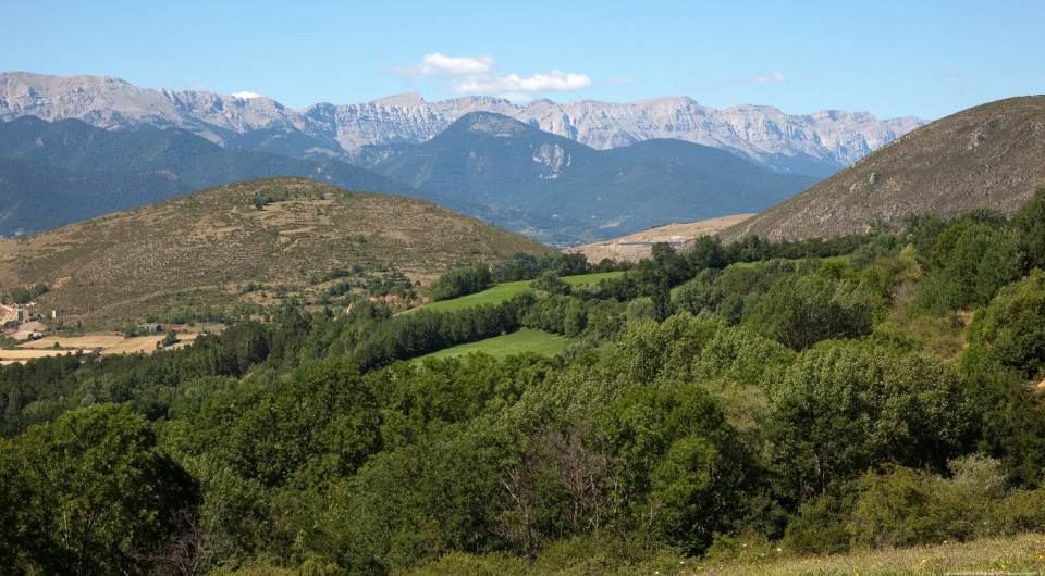 La Cerdanya  Cadí Moixeró. Maria Geli i Pilar Planagumà. Arxiu Imatges PTCBG