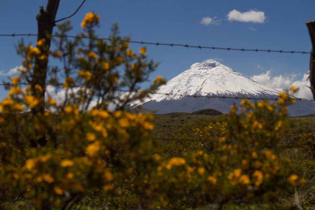 COTOPAXI   RUTA DE LOS VOLCANES180