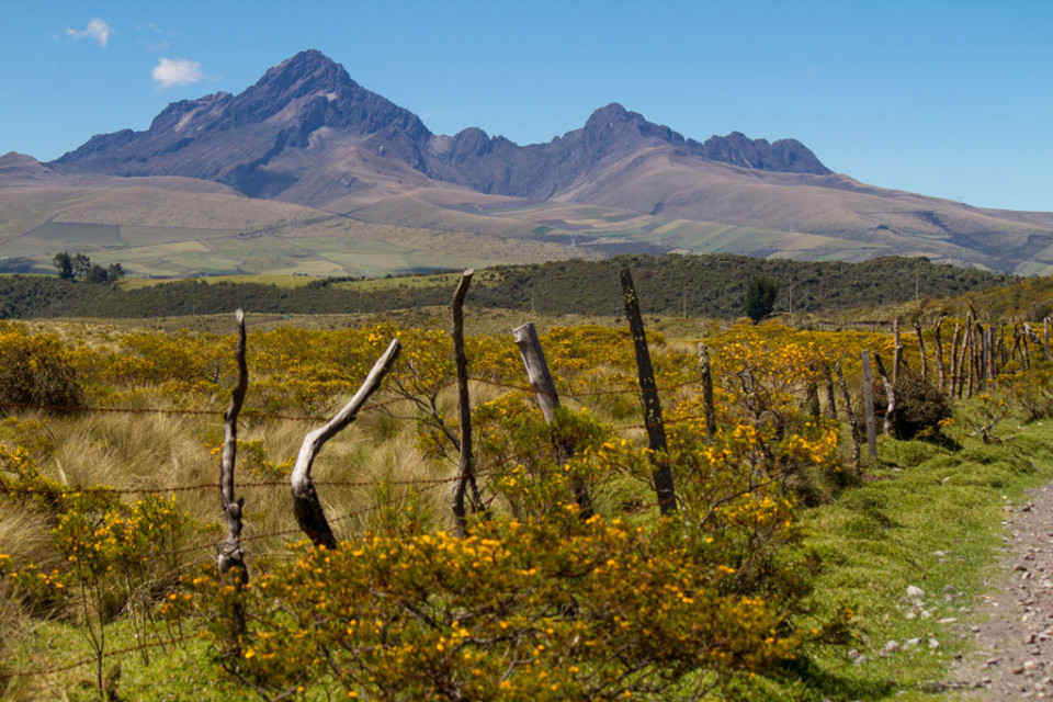 COTOPAXI