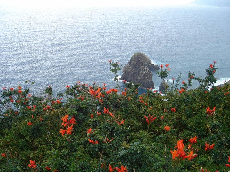 Mirador Fajã do Barro, Madeira