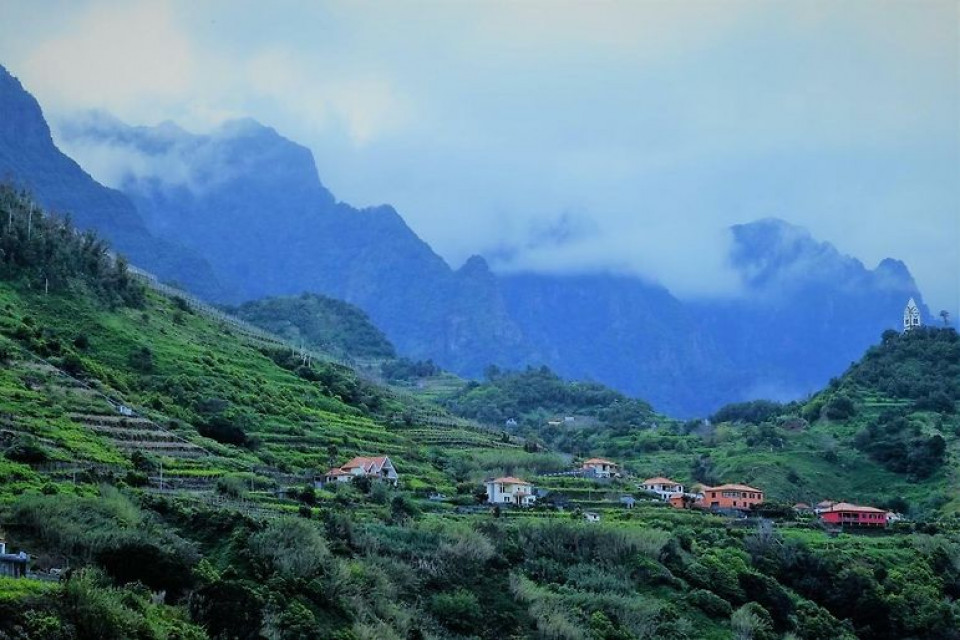 Ginjas, Madeira