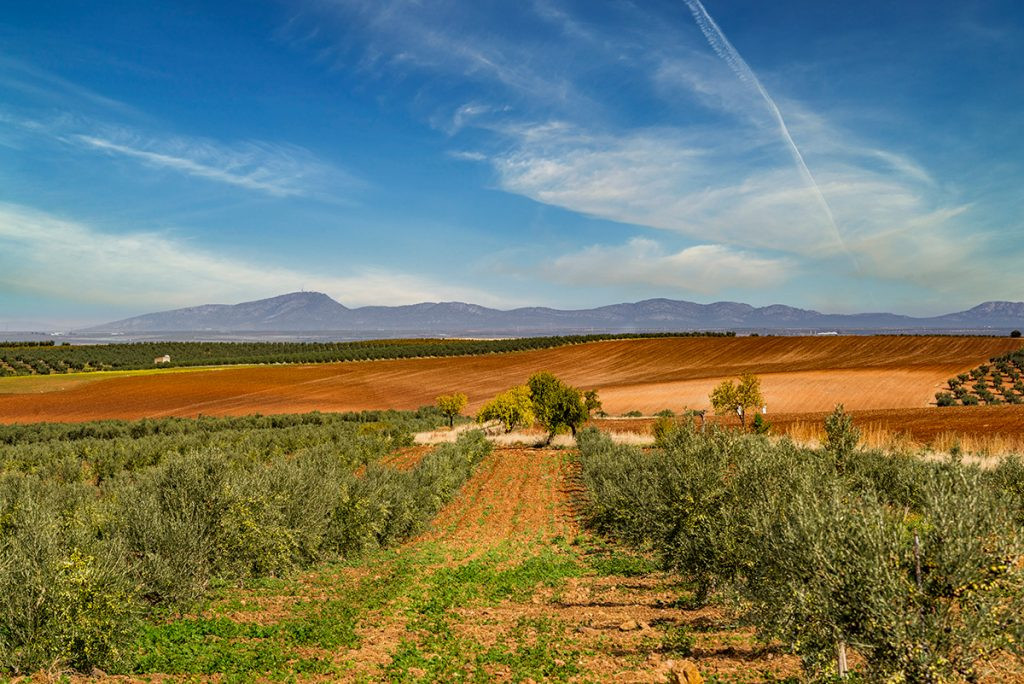 MIrador Ruta del Vino y el Cava de Riebra del Guadiana 1024x684