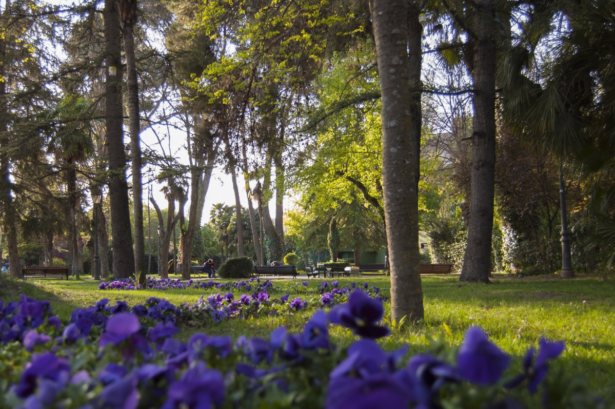 Parque de San Roque de Guadalajara Maru00eda Benito Sanz