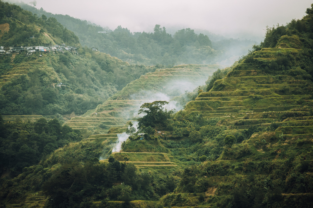 Banaue Rice Terraces 1 (1)