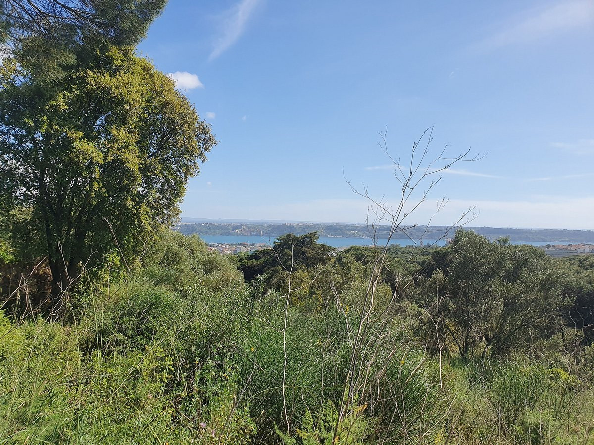 Parque de Monsanto, Lisboa