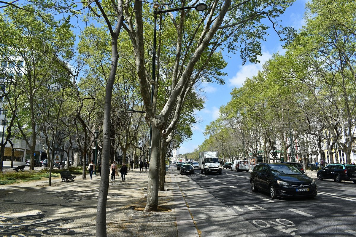 Avenida da Liberdade. Lisboa