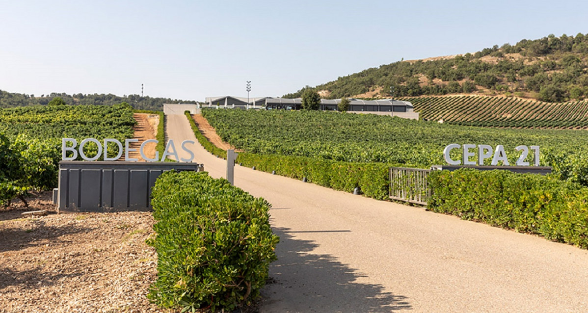 Bodegas cepa 21