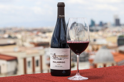Malabrigo 2019, un vino de altura.