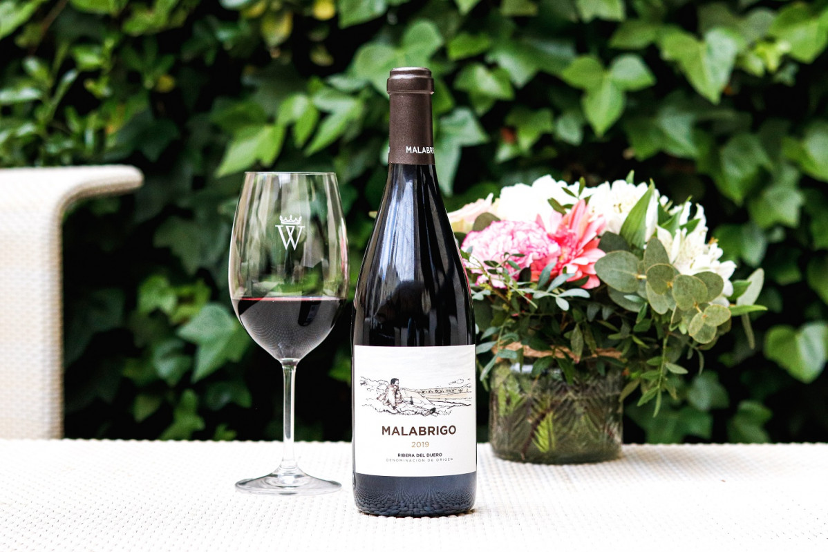 Malabrigo 2019, elegante vino
