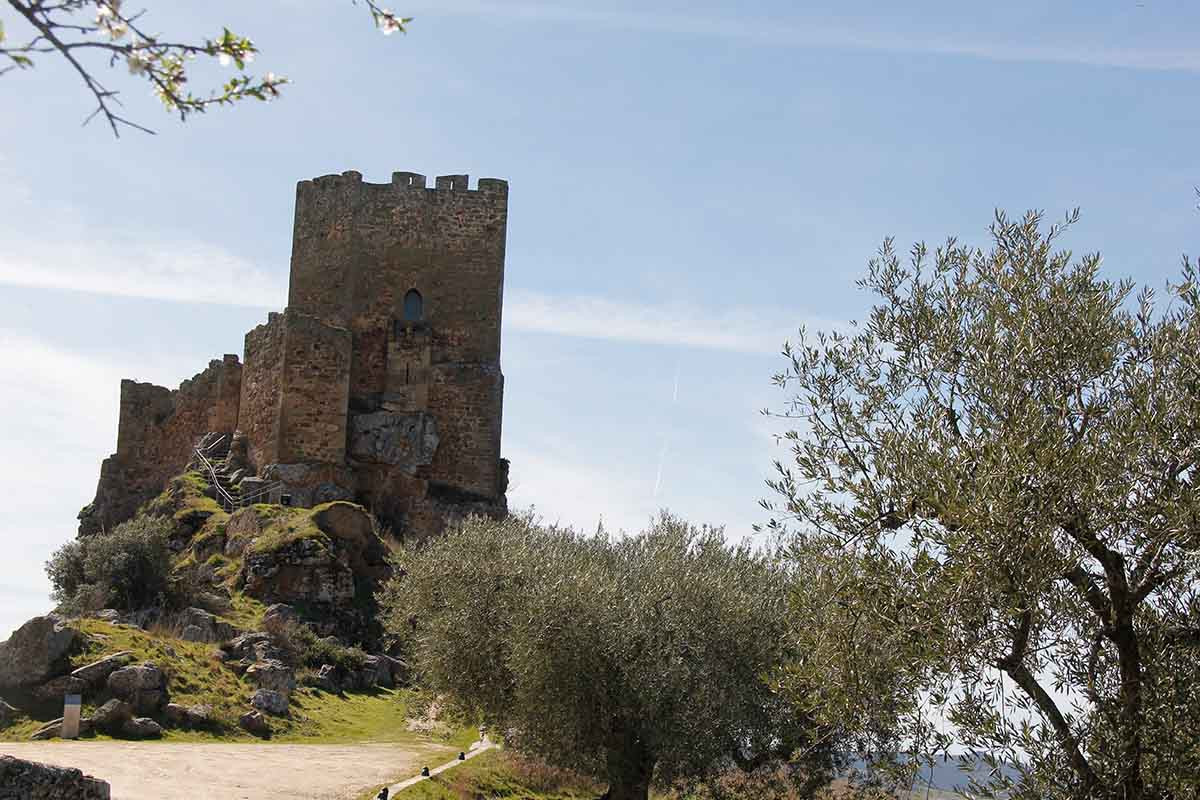 Castelo algoso