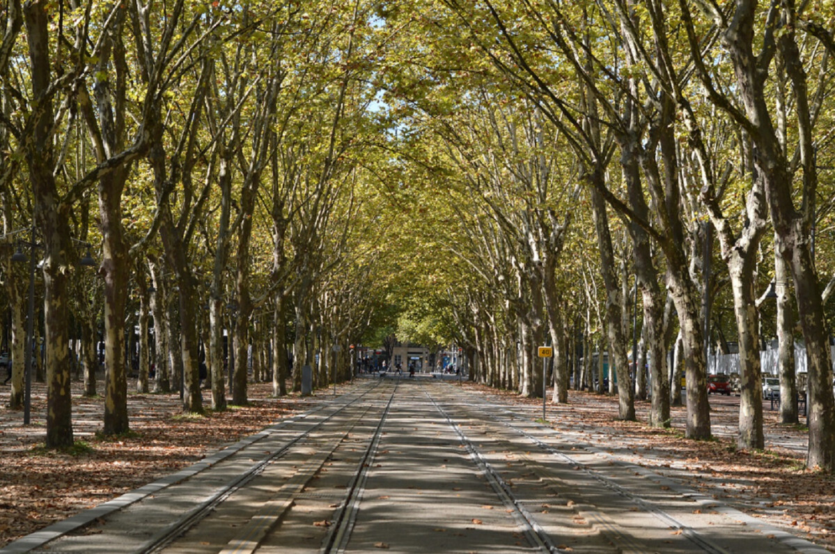 Place des Quinconces@Bordeaux Tourisme