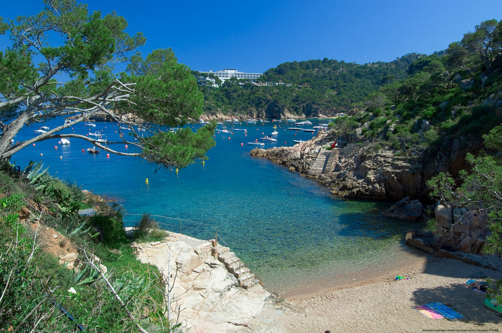 Aiguablava, Begur (1)