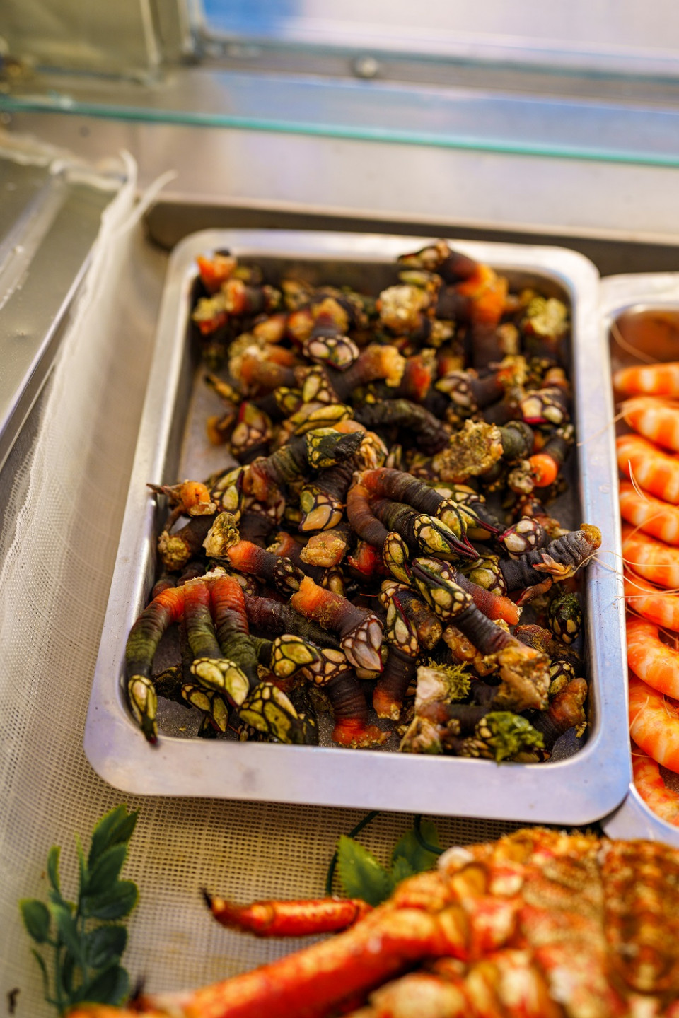 Percebes